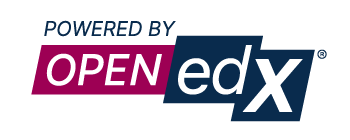 На основе Open edX